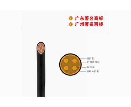 WD-BTTYZ-750V礦物質電纜 WD-BTTYZ-750V礦物質電纜